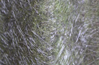 Dennington Hall fibreglass roof work